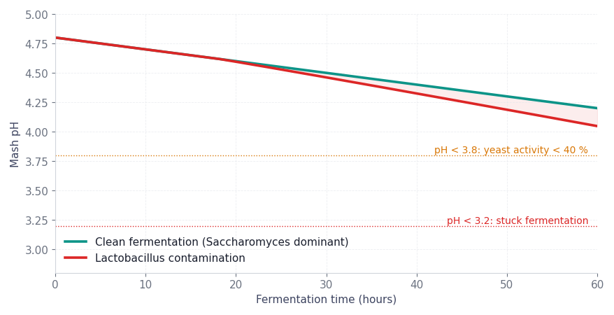 Figure 2. pH profile during fermentation. Clean vs Lactobacillus infection — the divergence is typically visible by hour 18–20.